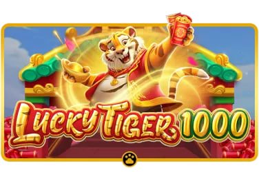 zeegame 555
